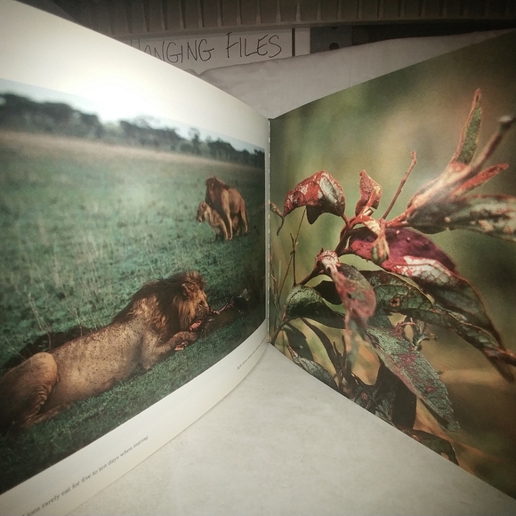 Serengeti: Natural Order on the African Plain by M - Picture 10 of 10